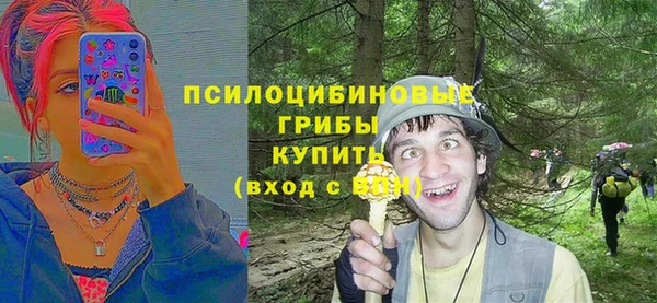 тгк Зеленокумск