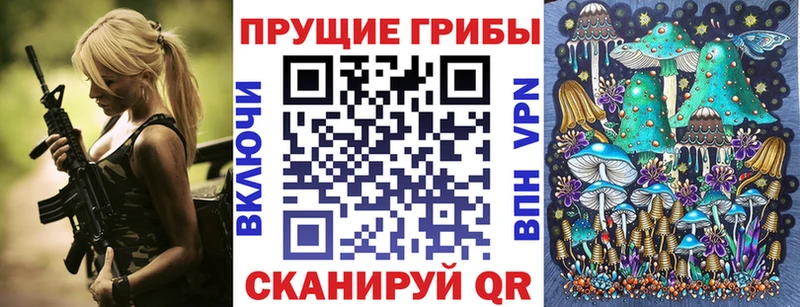 Галлюциногенные грибы Psilocybine cubensis Суворов